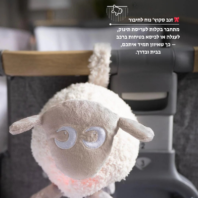 הכבשה הקסומה שתהפוך את הלילות שלכם לשקטים